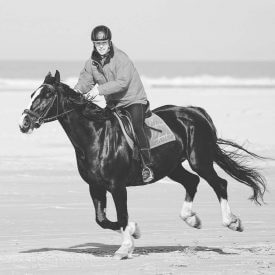 buitenrit ameland rijstal de blinkert