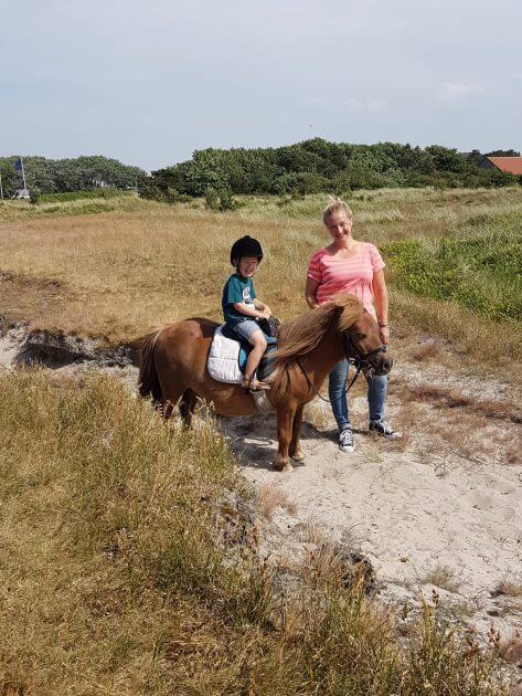 pony aan de hand rijstal de blinkert