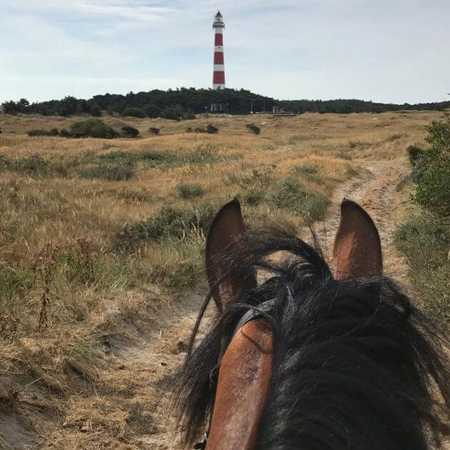 Beach Ride 3-hour ride