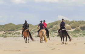 strandrit Ameland rijstal de blinkert