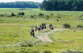 buitenritten Ameland rijstal de blinkert