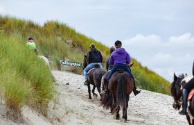 buitenritten Ameland rijstal de blinkert