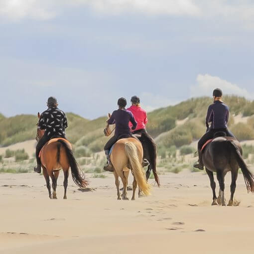 buitenrit Ameland rijstal de blinkert