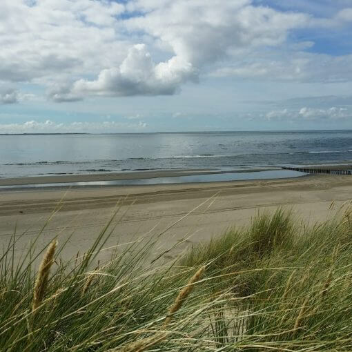 rijstal de blinkert duinen