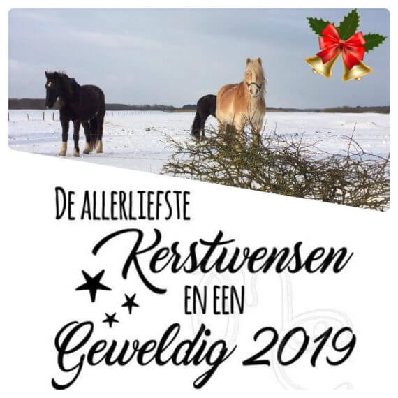 kerstwens rijstal de blinkert 2018