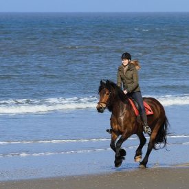 Cake and Zopie Ride February