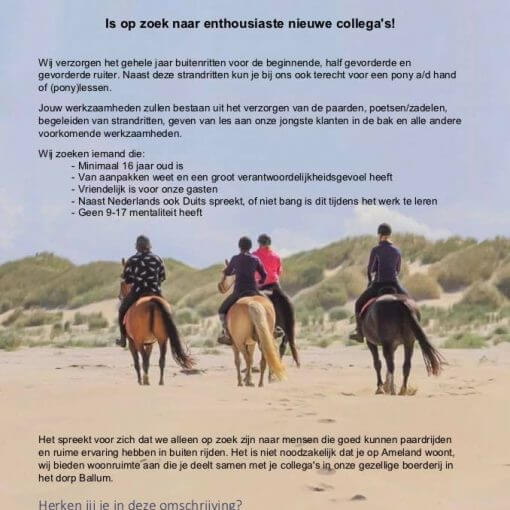 vacature rijstal de blinkert