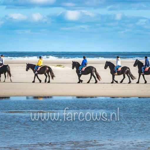 strandrit ameland groep