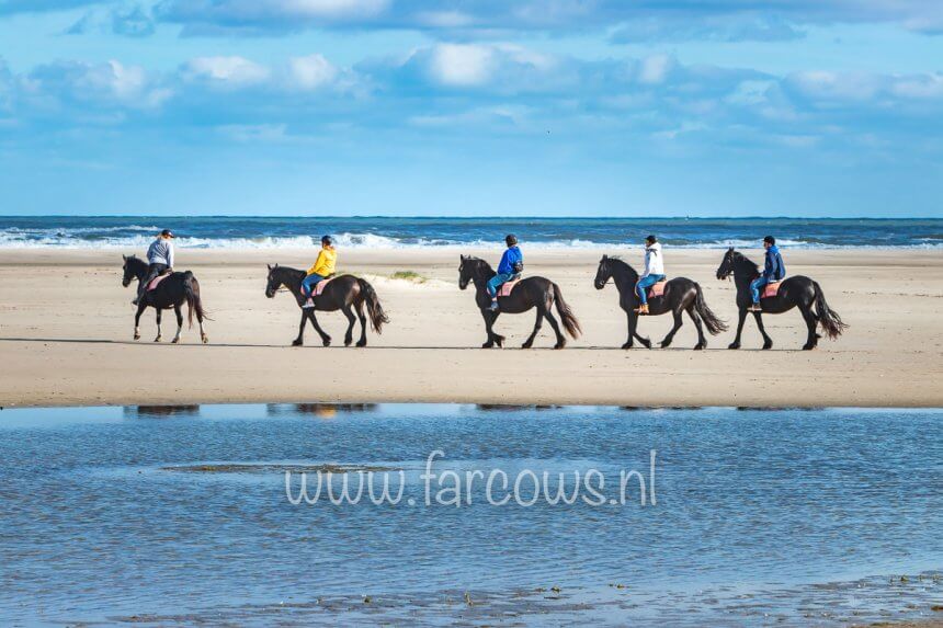 Beach Ride Ameland Gruppe