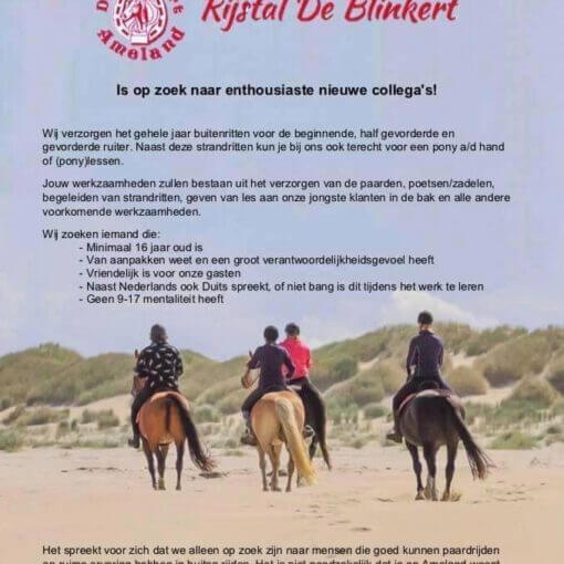 Vacature alert rijstal de blinkert