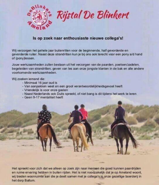 Vacancy alert rijstal de blinkert