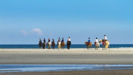 grote groep buitenrit