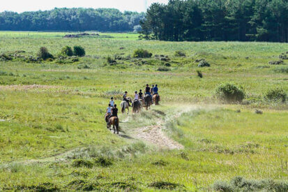 buitenrit Ameland rijstal de blinkert
